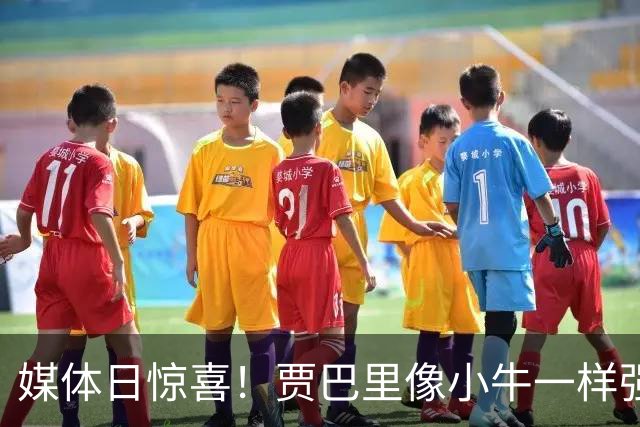 媒体日惊喜！贾巴里像小牛一样强壮