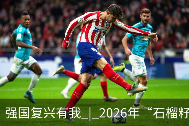 强国复兴有我 | 2026年“石榴籽杯”伊犁州足球超级联赛东部赛区巩留赛场小组赛迎来收官战